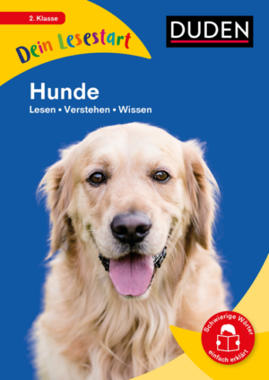 hunde lessen, verstehen, wissen