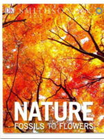 Nature: Fossils To Flowers