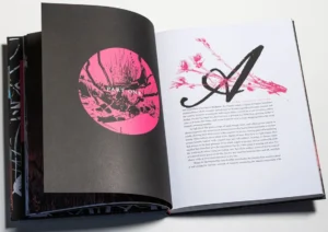 THE WILLOWS AND OTHER STORIES (Illuminated Editions)
