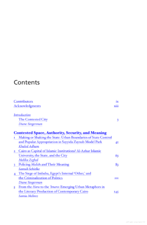 Cairo Contested (Governance, Urban Space, and Global Modernity)
