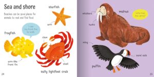 Wonderful Words: Animals!