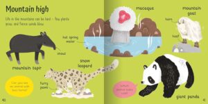 Wonderful Words: Animals!