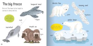Wonderful Words: Animals!