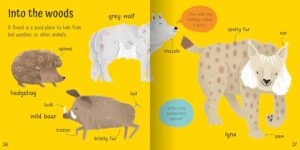Wonderful Words: Animals!