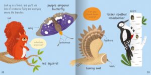 Wonderful Words: Animals!
