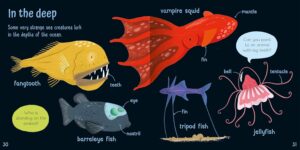 Wonderful Words: Animals!