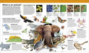 Knowledge Encyclopedia Animal!