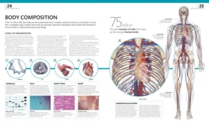 The Complete Human Body