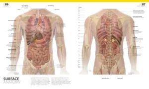 The Complete Human Body