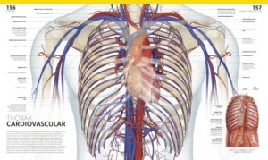 The Complete Human Body