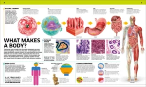 Knowledge Encyclopedia Human Body!