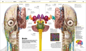 Knowledge Encyclopedia Human Body!