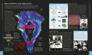 The Brain Book