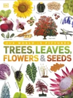 Our World in Pictures: Trees, Leaves, Flowers & Seeds