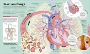 How Everything Works