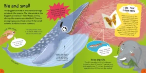 First Animal Book