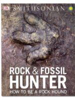 Rock and Fossil Hunter