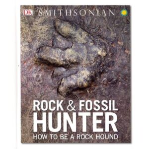 Rock and Fossil Hunter