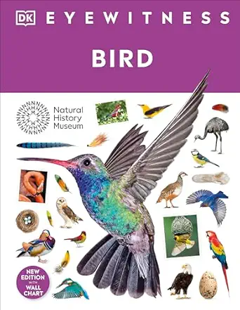 Bird (DK Eyewitness)